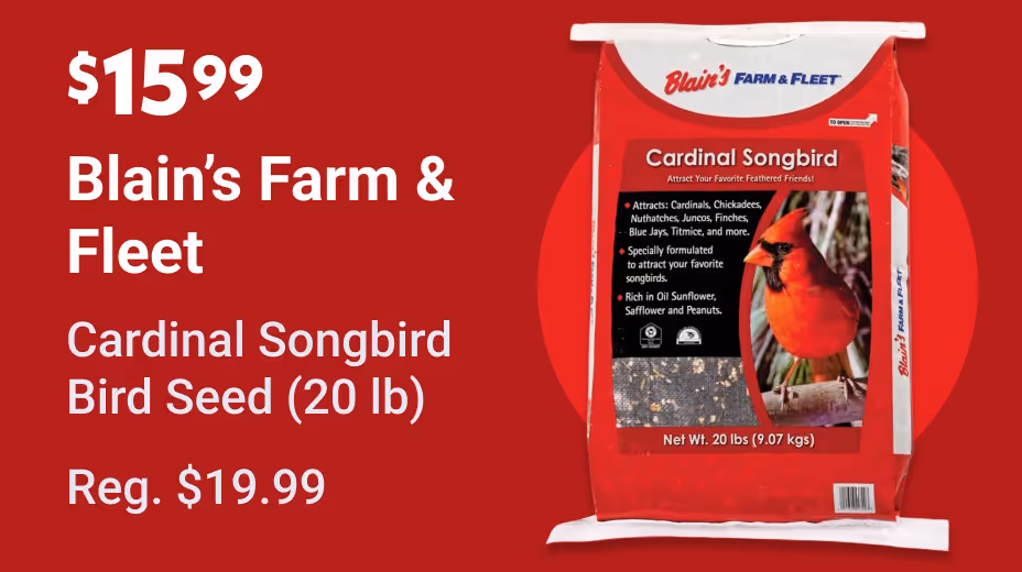 BFF Cardinal Songbird Bird Seed