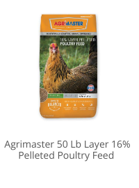 Product Recommendation 1