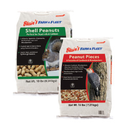 BFF Peanuts in Shells & Pieces