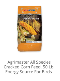 Product Recommendation 1
