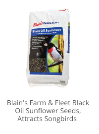 Product Recommendation 3
