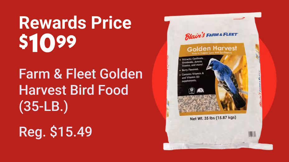 Golden Harvest Bird Seed, 35 lb, Attracts Variety of Birds with Golden Corn and Sunflowers
