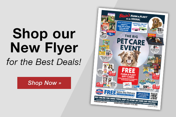 Shop Our New Flyer