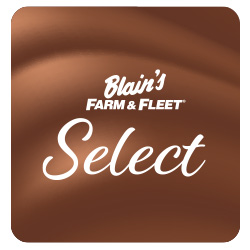 BFF Select Premium 10-12 oz. Chocolate