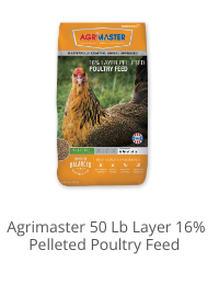 Product Recommendation 2