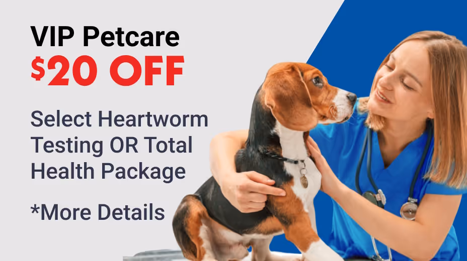 VIP Petcare 20% OFF Your First Visit
