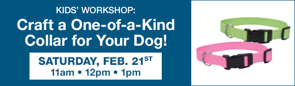 Kids Craft a Collar Workshop