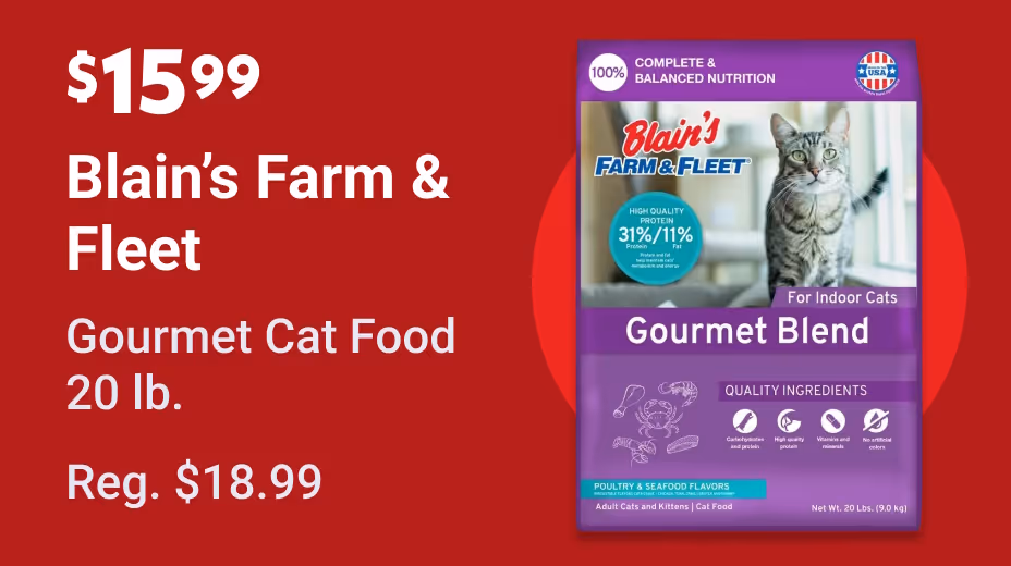 Bag of cat food on sale