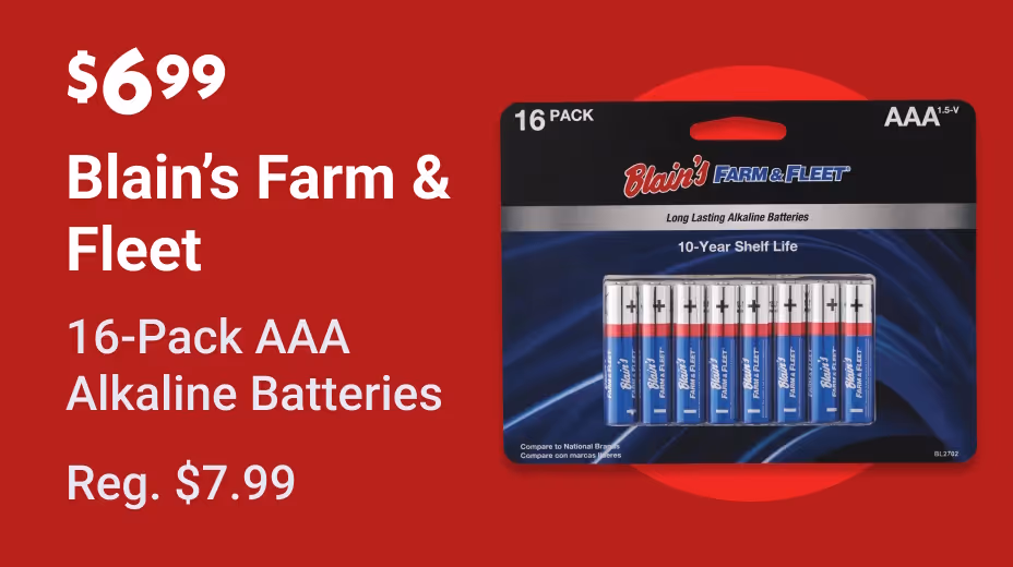 AAA Batteries on sale