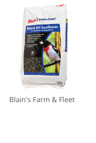 Product Recommendation 1