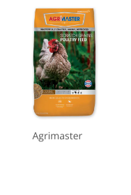 Product Recommendation 4