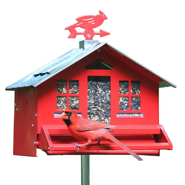 Red Bird Seed Feeder