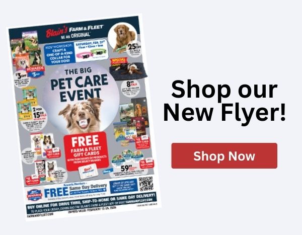 Shop Our New Flyer