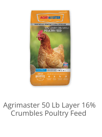 Product Recommendation 2