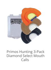 Product Recommendation 4