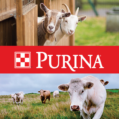Purina Lifestyle