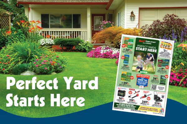Perfect Yard Starts Here