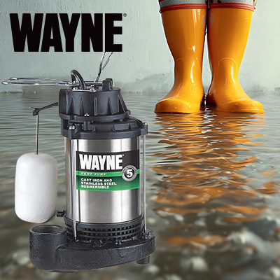 Wayne Lifestyle