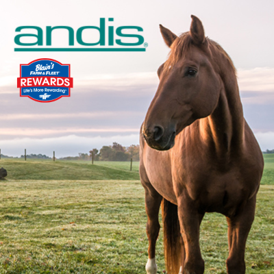 Andis Rewards Lifestyle