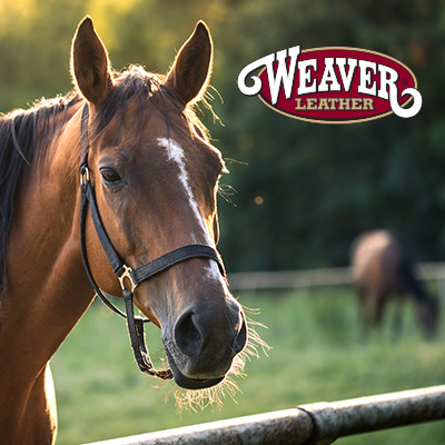 Weaver Leather Lifestyle