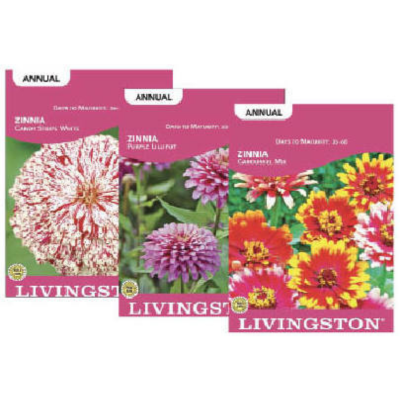 Assorted Livingston Seeds