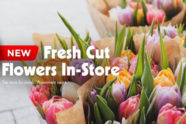 Fresh Cut Flowers In-Store