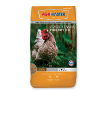 Product Recommendation 4