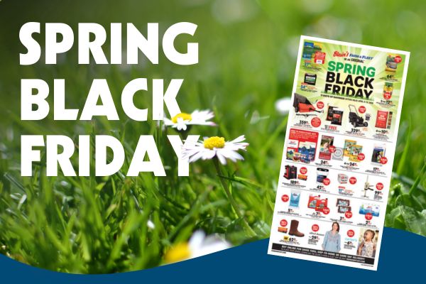 Spring Black Friday Flyer