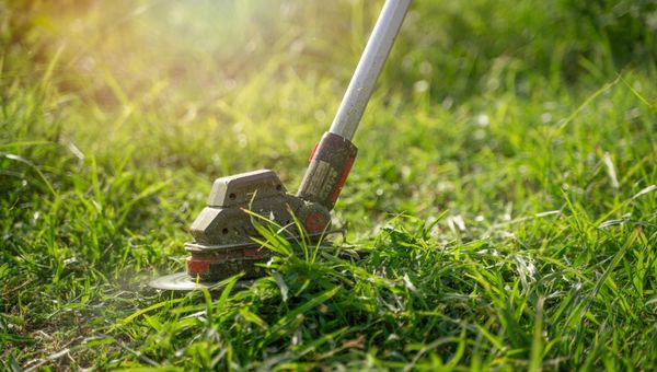 Choosing The Right Lawn Mower For Your Lawn