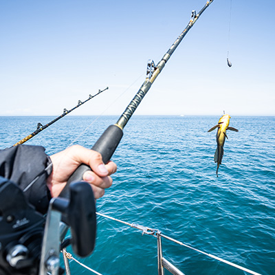Fishing Lifestyle