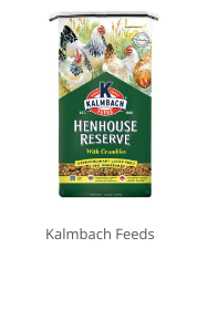 Product Recommendation 4