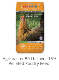 Product Recommendation 1