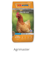 Product Recommendation 3