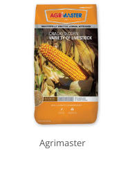 Product Recommendation 4