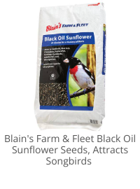 Product Recommendation 3