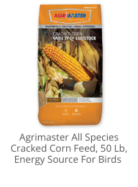Product Recommendation 4