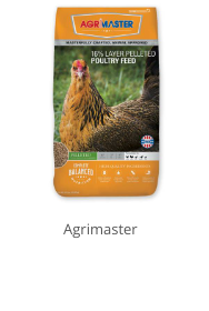 Product Recommendation 1