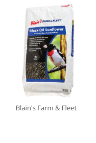 Product Recommendation 2