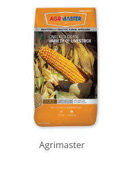 Product Recommendation 3