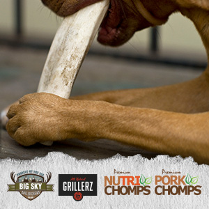 Image of dog eating a bone with pet logos
