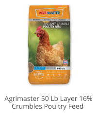 Product Recommendation 4