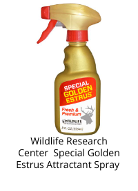 Product Recommendation 2