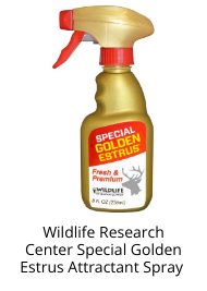 Product Recommendation 2