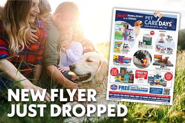 Family and dog in a field with Pet Care Days Promo Flyer