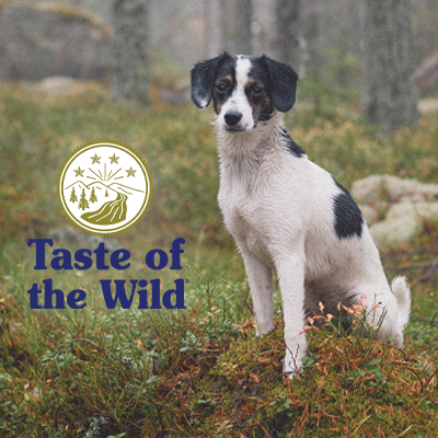 Dog sitting in the woods with Taste of the Wild logo
