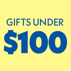 Gifts under $100