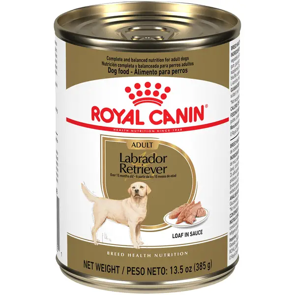 Royal Canin Breed Health Nutrition Labrador Retriever Adult Loaf in Sauce Canned Dog Food, 13.5 oz