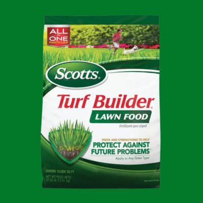 Bag of Scotts Turf Builder lawn food