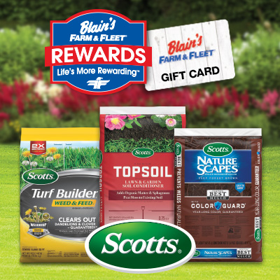 Image of dog playing in a puddle of water with IAMS, Blain's Rewards logo and Blain's gift card