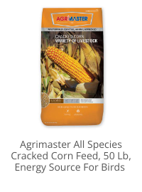 Product Recommendation 3